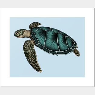 Sea turtle Posters and Art